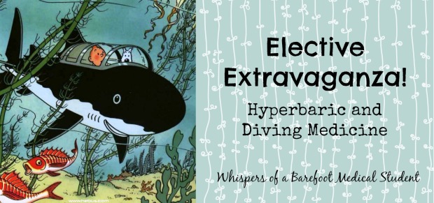 elective diving