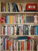 My bookcase - how else?